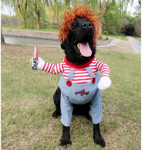 Convierte a tu mascota en CHUCKY 🔪🐶