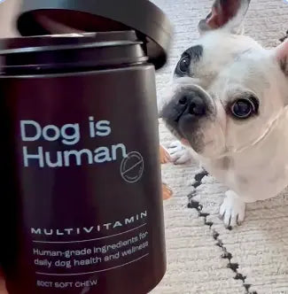 DOG IS HUMAN® MULTIVITAMÍNICO ULTRA POTENTE PARA PELAJE, DIGESTIÓN Y ARTICULACIONES🐾
