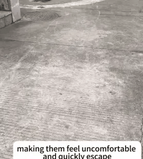 REPELENTE DE PLAGAS ULTRASONICO CON IA 2X1 PARA ELIMINAR MOLESTAS PLAGAS 🪳🐭