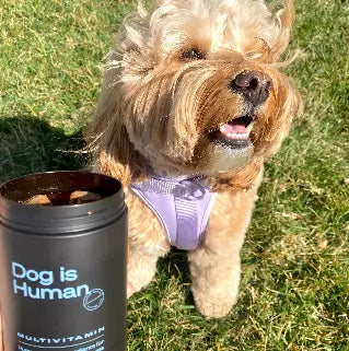 DOG IS HUMAN® MULTIVITAMÍNICO ULTRA POTENTE PARA PELAJE, DIGESTIÓN Y ARTICULACIONES🐾