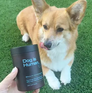 DOG IS HUMAN® MULTIVITAMÍNICO ULTRA POTENTE PARA PELAJE, DIGESTIÓN Y ARTICULACIONES🐾