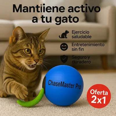 ChaseMaster Pro 2X1: Tecnología Premium Para tu Gatito