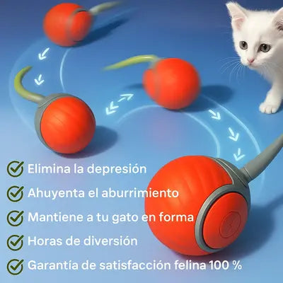 ChaseMaster Pro 2X1: Tecnología Premium Para tu Gatito