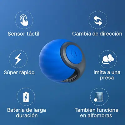 ChaseMaster Pro 2X1: Tecnología Premium Para tu Gatito