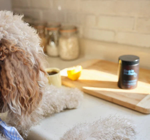 DOG IS HUMAN® MULTIVITAMÍNICO ULTRA POTENTE PARA PELAJE, DIGESTIÓN Y ARTICULACIONES🐾