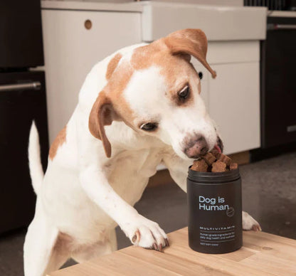 DOG IS HUMAN® MULTIVITAMÍNICO ULTRA POTENTE PARA PELAJE, DIGESTIÓN Y ARTICULACIONES🐾