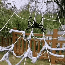 Transforma tu Halloween con 2 Arañas Gigantes al Precio de 1