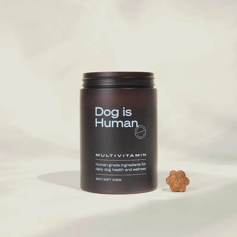 DOG IS HUMAN® MULTIVITAMÍNICO ULTRA POTENTE PARA PELAJE, DIGESTIÓN Y ARTICULACIONES🐾